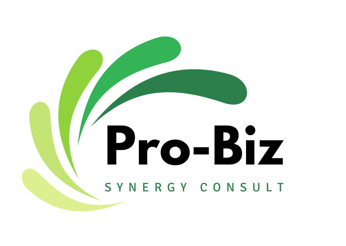 Pro-Biz Synergy Consult